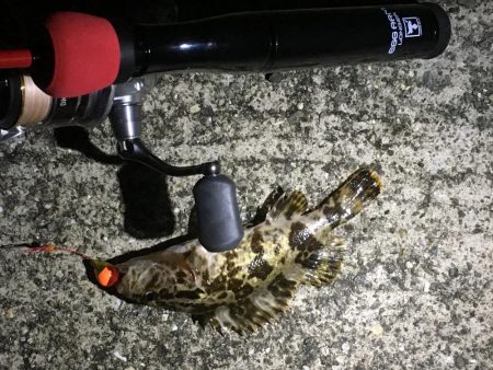 ひいか、たけのこめばる