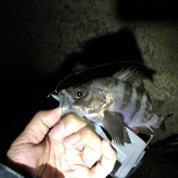 爆風ライトゲーム