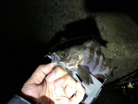 爆風ライトゲーム