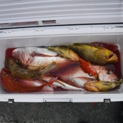 タイラバ まあまあ釣れた