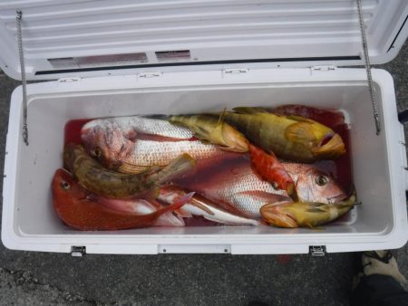 タイラバ まあまあ釣れた