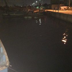 ヒイカお前らどこ行ったんじゃ〜