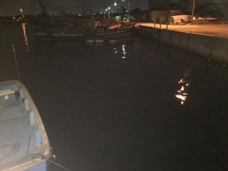 ヒイカお前らどこ行ったんじゃ〜