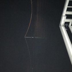 釣り納めは五目釣り