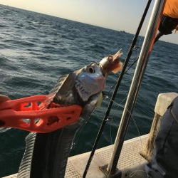 タチウオジギング とテンヤ