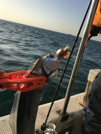 タチウオジギング とテンヤ