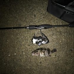 今日もライトワインド修行