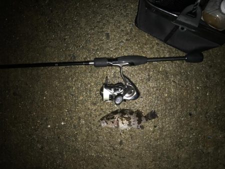 今日もライトワインド修行