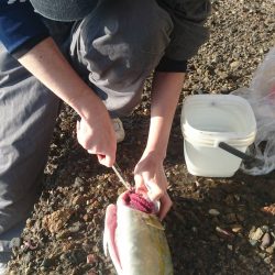 またまた来ました！