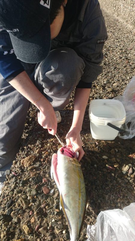 またまた来ました！