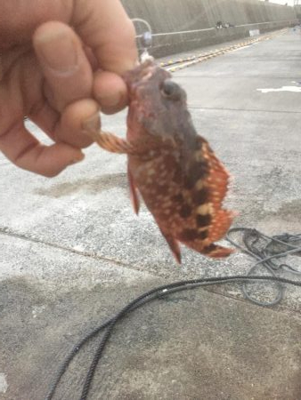 五目達成ならず