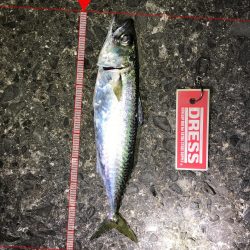 メバリン……サバゲー！！！