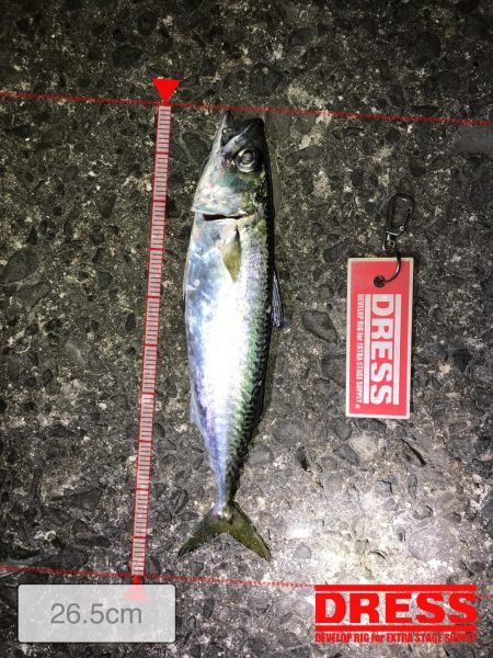 メバリン……サバゲー！！！