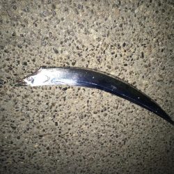 寒いけど、太刀魚釣り
