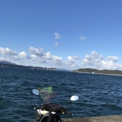 釣り釣り釣り〜