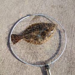 クリスマスプレゼント