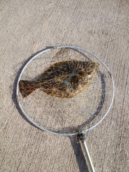 クリスマスプレゼント