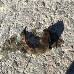 本命で釣り納め