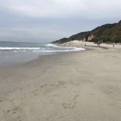 伊古部海岸でヒラメ