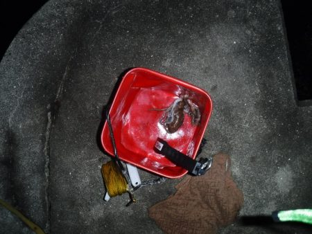 ヒイカ偵察 不発