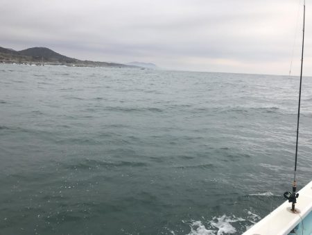 泳がせでヒラメ釣り