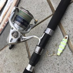 南風の中でヤツが来た