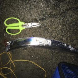 シーズンラスト