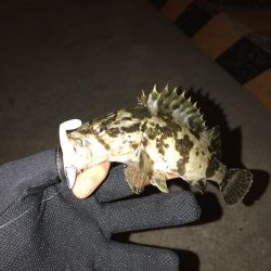 ライトワインド楽しい〜!