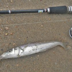 イマイチな感じ