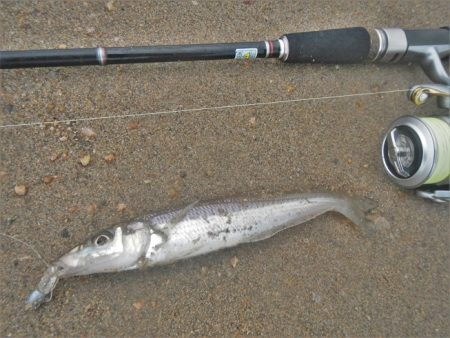 イマイチな感じ