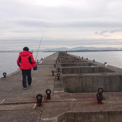 太刀魚狩りじゃ