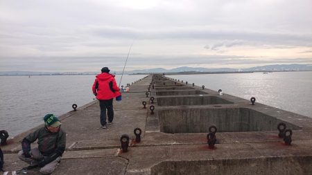 太刀魚狩りじゃ