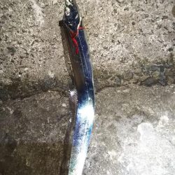 先週よりはマシか?