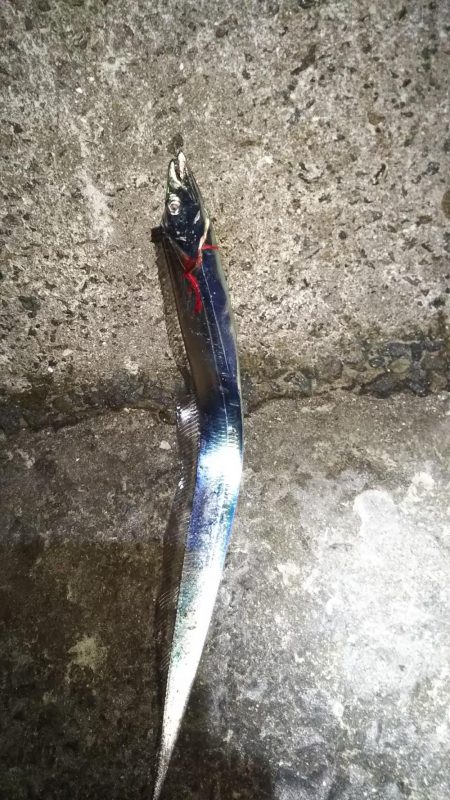 先週よりはマシか?