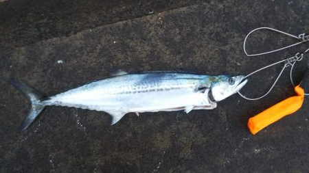 冬の天気は変わりやすいですね