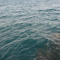 ショアジギング