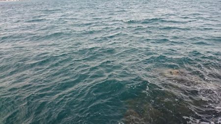 ショアジギング