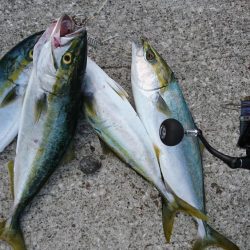 ショアジギング