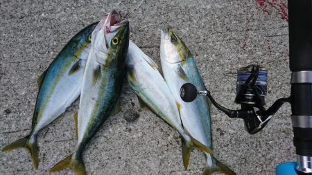 ショアジギング