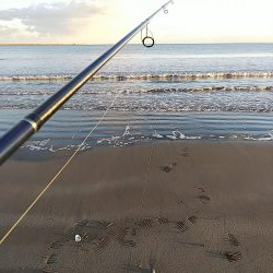 ソゲしか釣れない