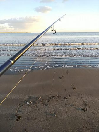 ソゲしか釣れない