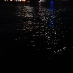 今日も寒かったが短時間夕練出撃！