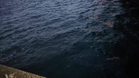 寒かった夕練シーバス調査