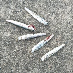 アジングサビキでアジとサバとイワシ