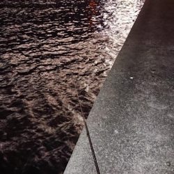 ちょっと久々にグッドサイズ出ました♪