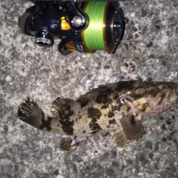 クリスマスライトゲーム