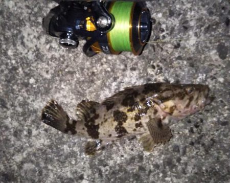 クリスマスライトゲーム