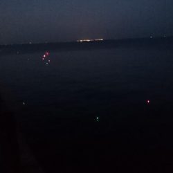 タチウオ釣りとことん行く