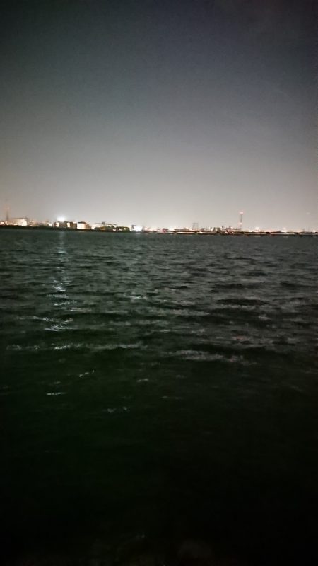 シーバス釣れない