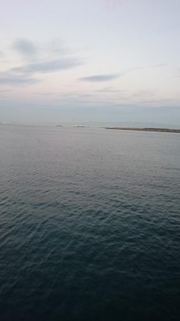 泉大津エリアで貴重なタチウオ